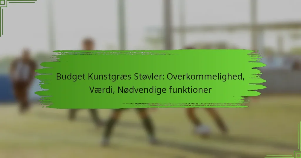 Budget Kunstgræs Støvler: Overkommelighed, Værdi, Nødvendige funktioner