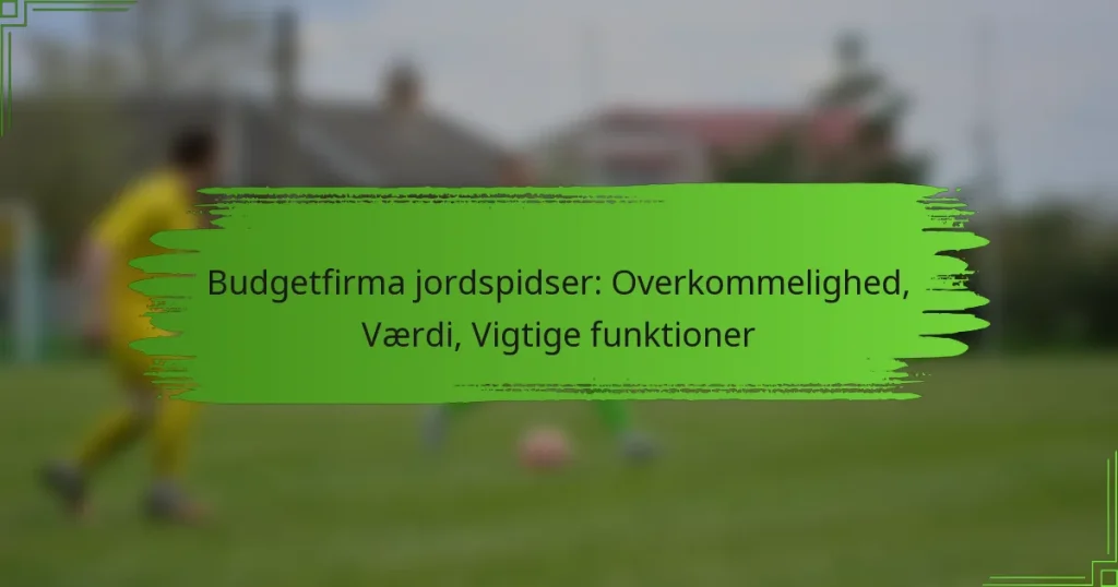 Budgetfirma jordspidser: Overkommelighed, Værdi, Vigtige funktioner