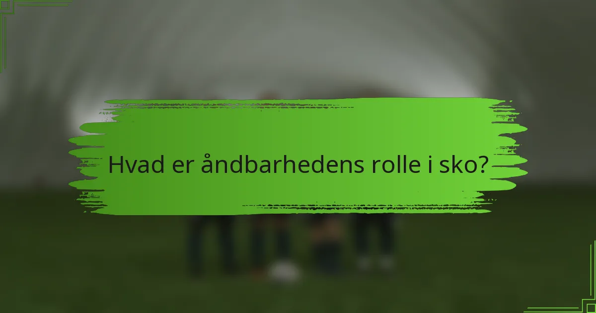 Hvad er åndbarhedens rolle i sko?