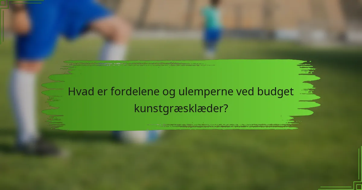 Hvad er fordelene og ulemperne ved budget kunstgræsklæder?
