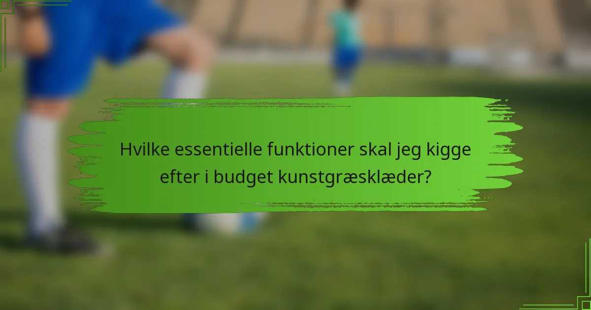 Hvilke essentielle funktioner skal jeg kigge efter i budget kunstgræsklæder?