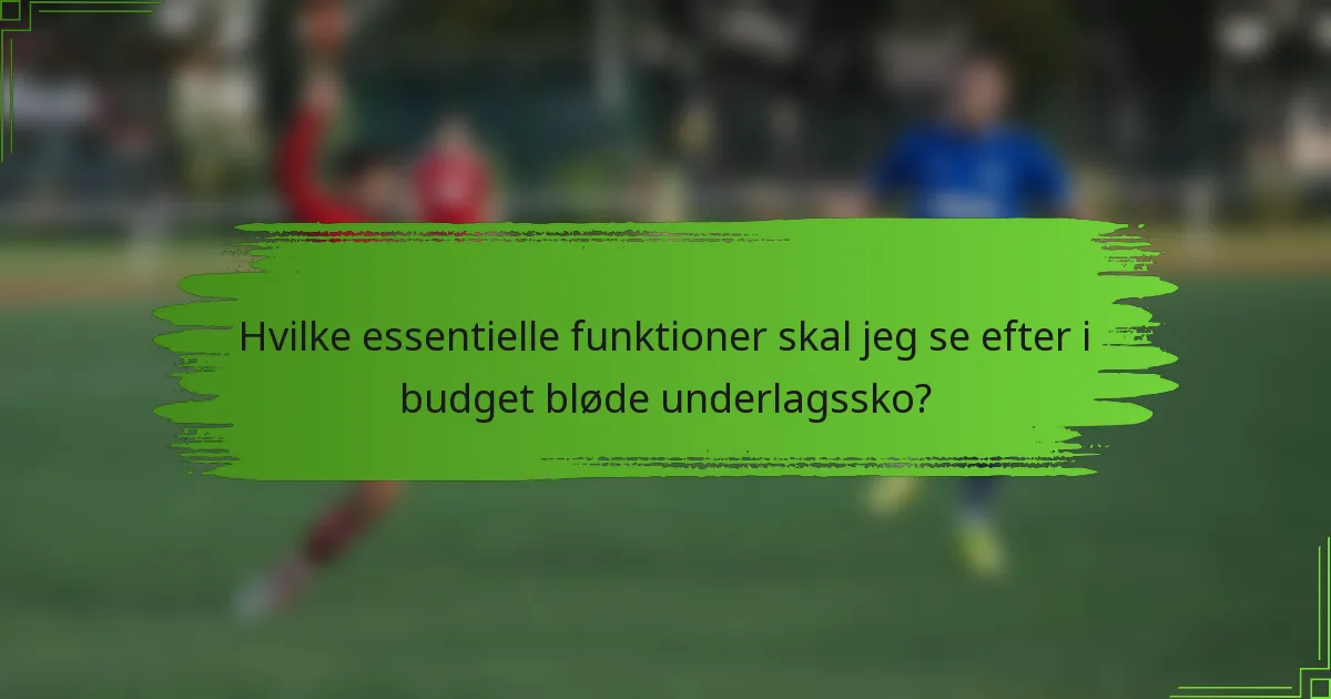 Hvilke essentielle funktioner skal jeg se efter i budget bløde underlagssko?