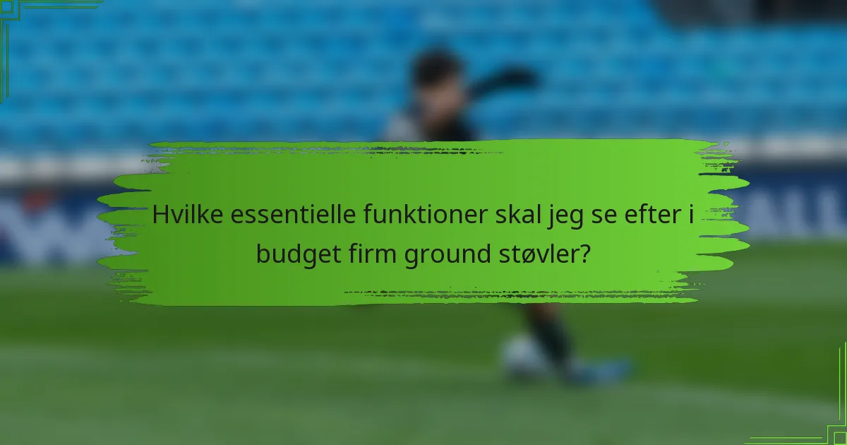 Hvilke essentielle funktioner skal jeg se efter i budget firm ground støvler?