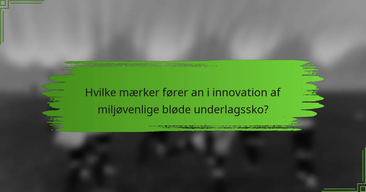 Hvilke mærker fører an i innovation af miljøvenlige bløde underlagssko?