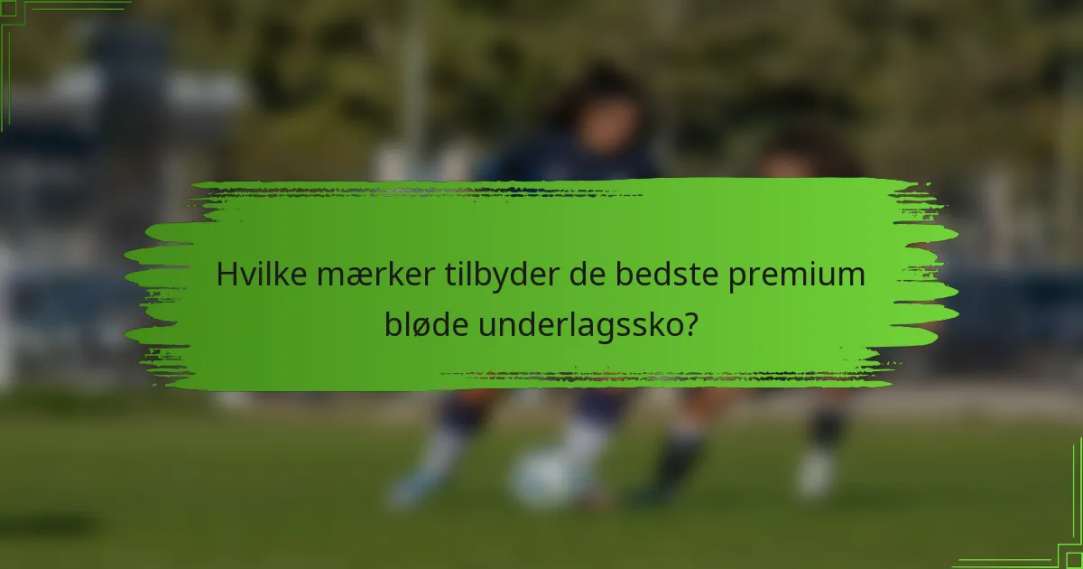 Hvilke mærker tilbyder de bedste premium bløde underlagssko?