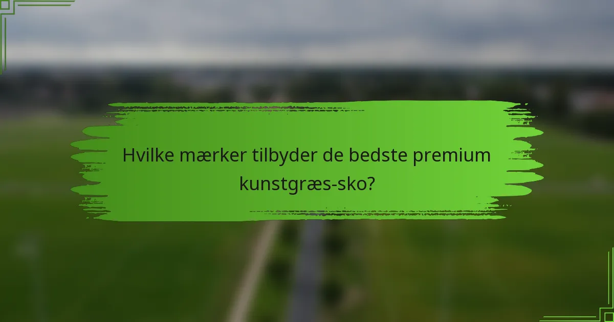 Hvilke mærker tilbyder de bedste premium kunstgræs-sko?