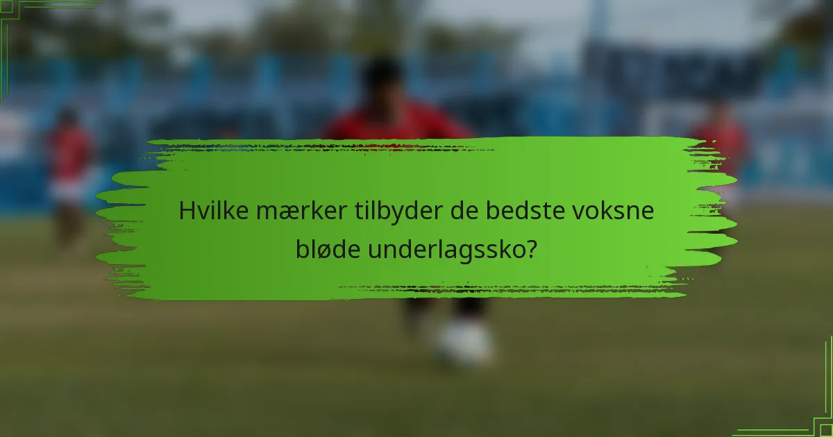 Hvilke mærker tilbyder de bedste voksne bløde underlagssko?