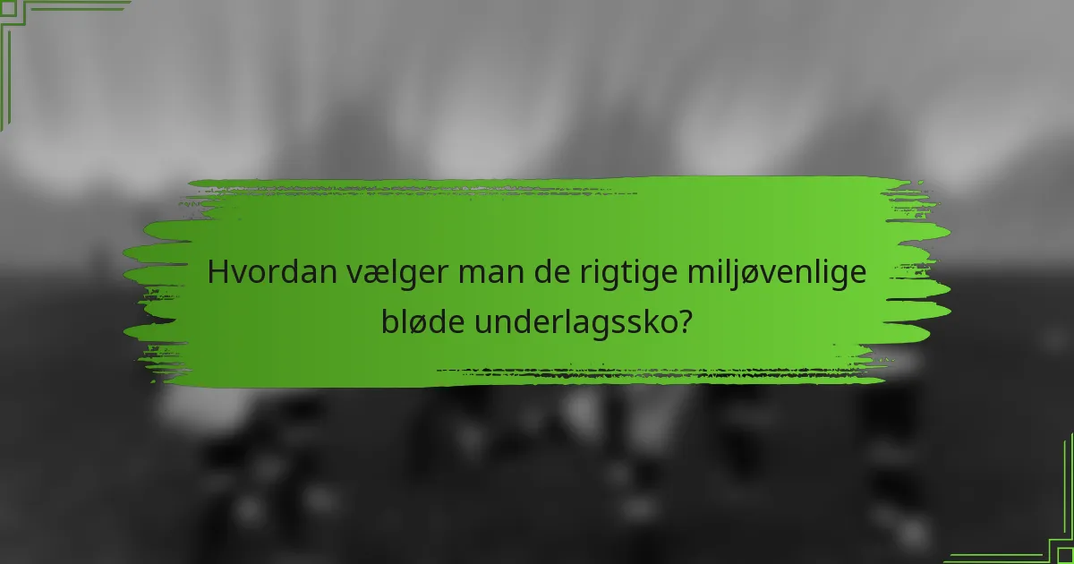 Hvordan vælger man de rigtige miljøvenlige bløde underlagssko?